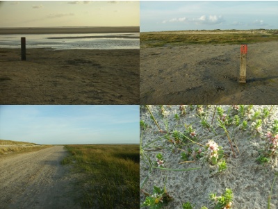 6015-17-12-10_Westerburenpad